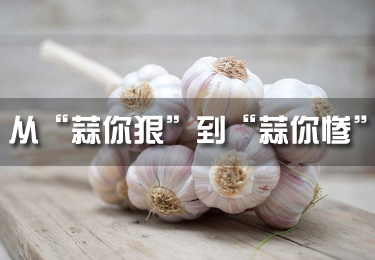 從“蒜你狠”到“蒜你慘”　種蒜咋變成了“賭博”游戲?